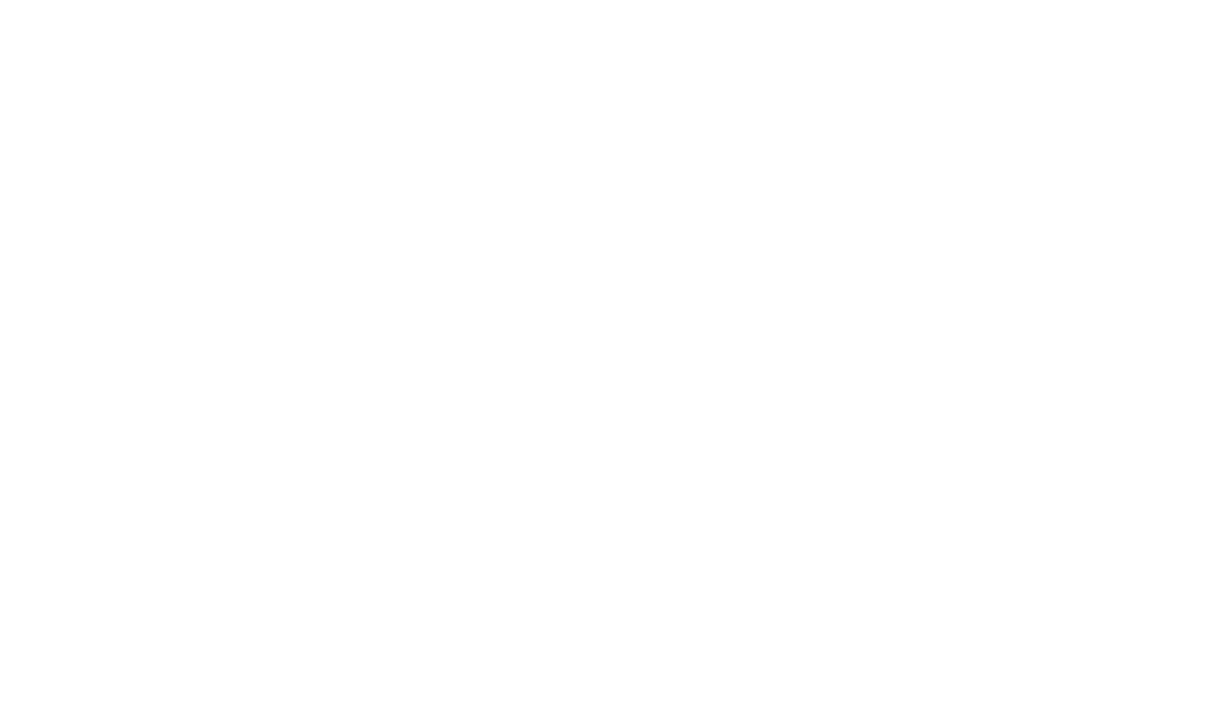 logo-neuro-zauner-white